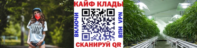 Где купить Грозный ГАШ  А ПВП  Героин  МЕФ  Конопля  Кокаин  Галлюциногенные грибы 