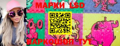 шишки Будённовск