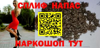 шишки Будённовск