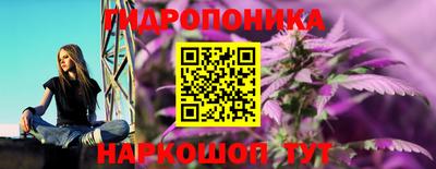 шишки Будённовск