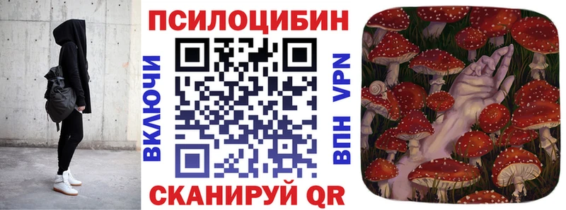 что такое   Грозный  Псилоцибиновые грибы Magic Shrooms 