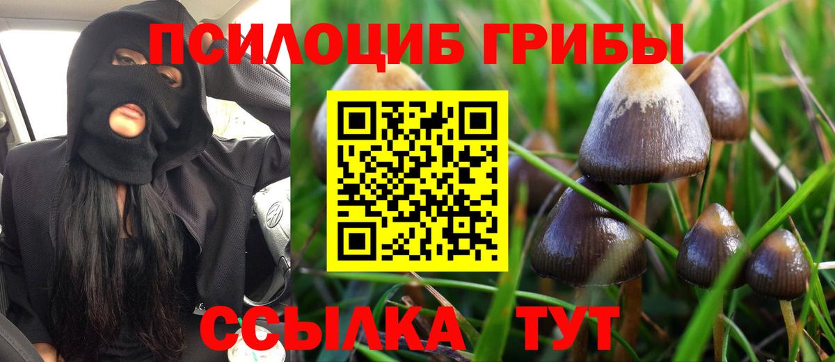 Галлюциногенные грибы прущие грибы Грозный